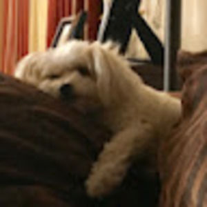 Meet your Posher, Veronica